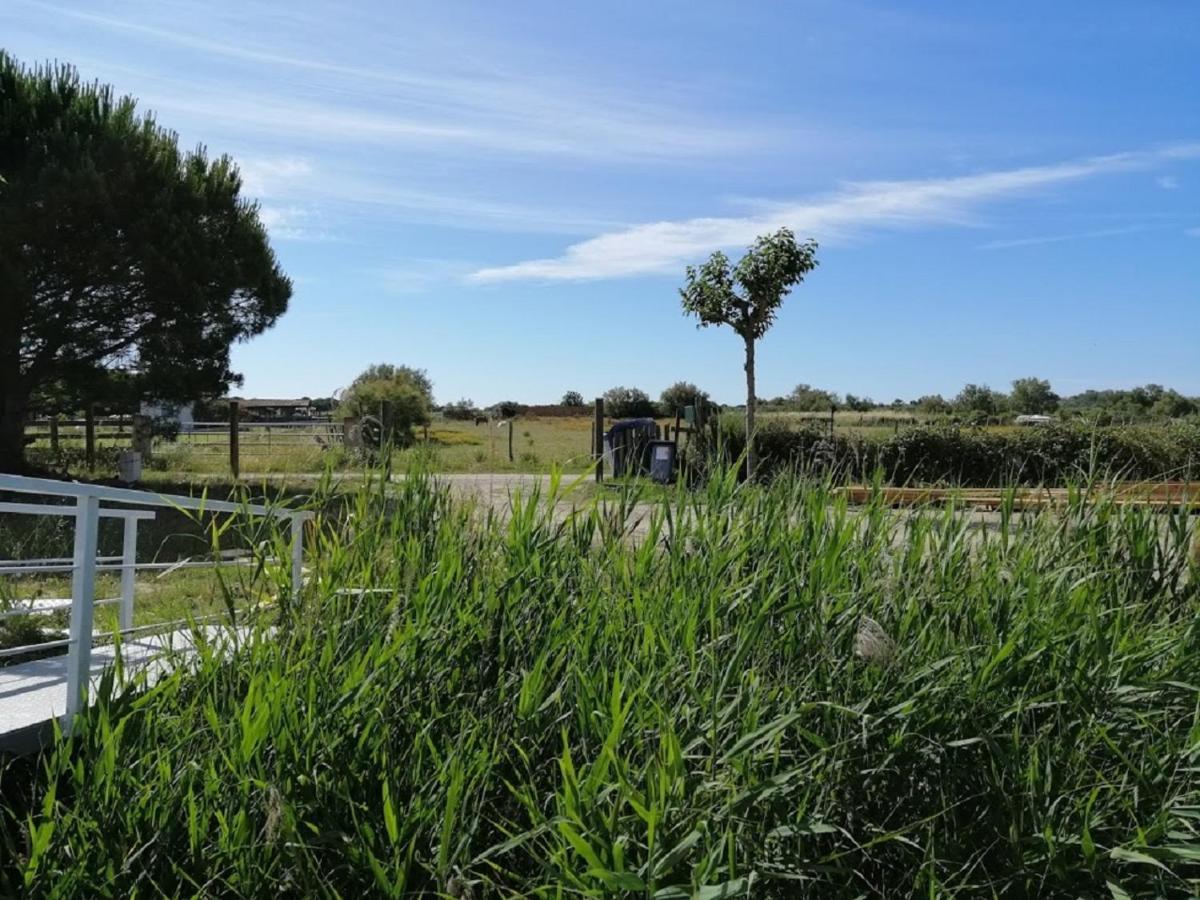 Hotel Sejour Atypique Et Insolite Sur Notre Peniche La Coradine Avec Grand Spa Aigues-Mortes Exterior foto