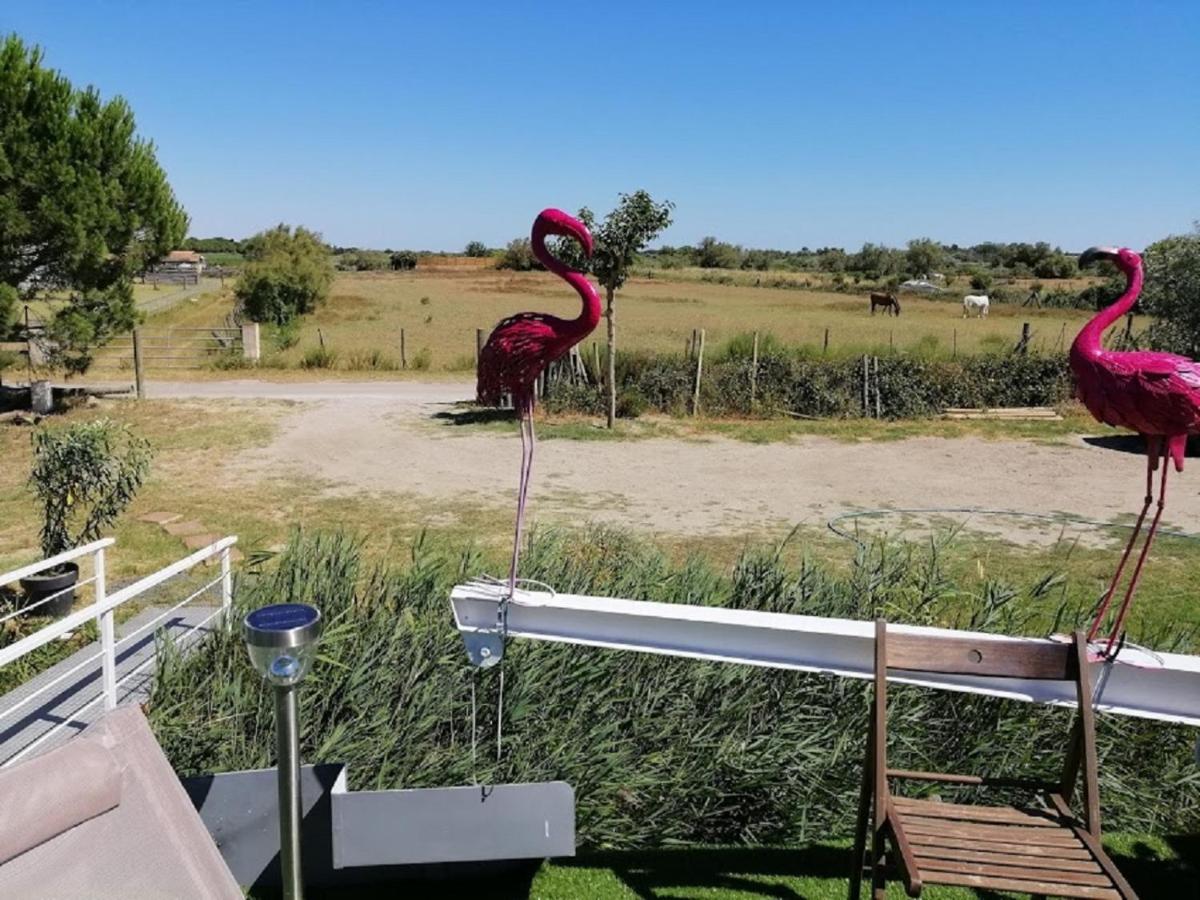 Hotel Sejour Atypique Et Insolite Sur Notre Peniche La Coradine Avec Grand Spa Aigues-Mortes Exterior foto